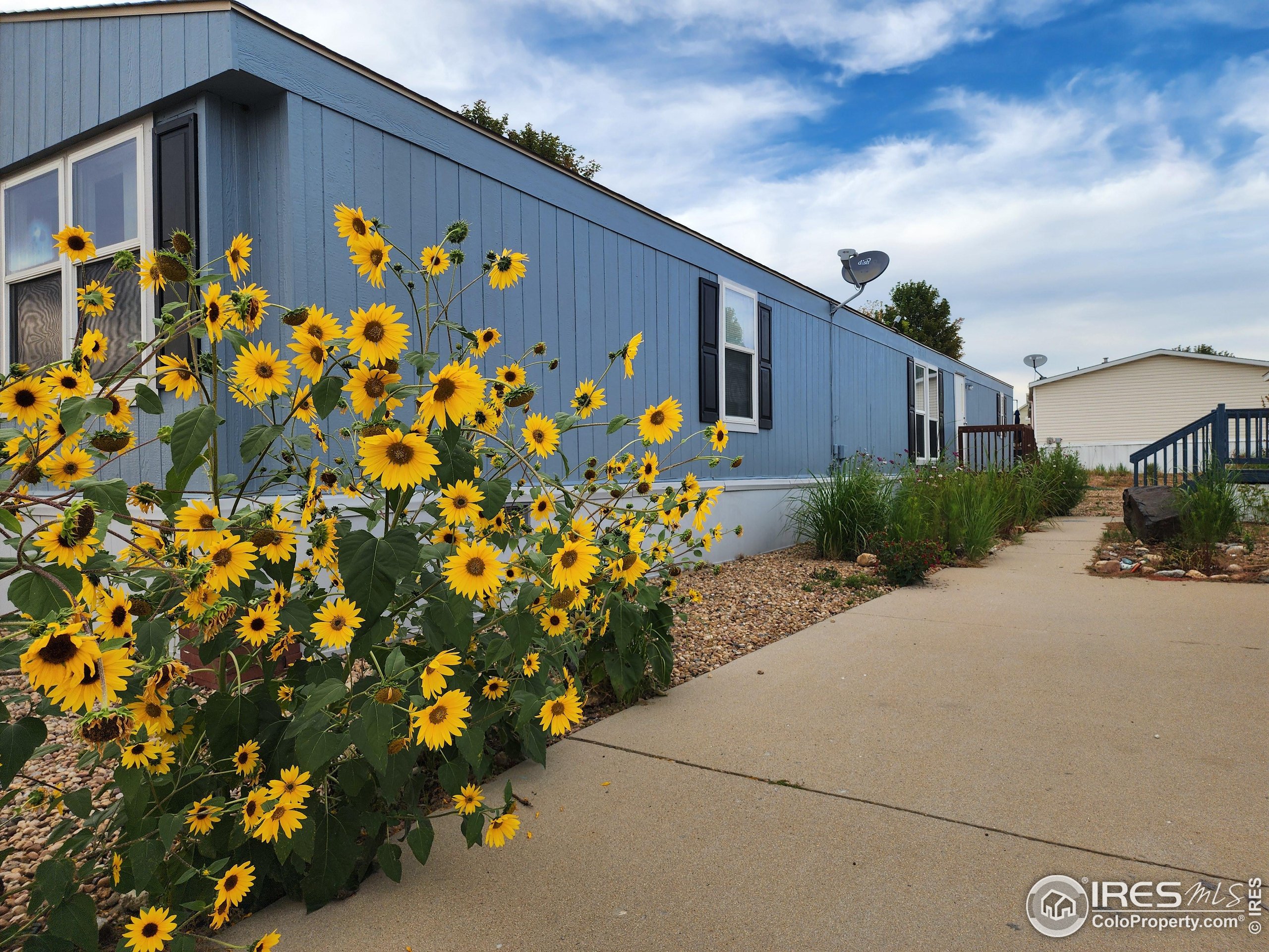 4795 Audrey Street Firestone CO 80504