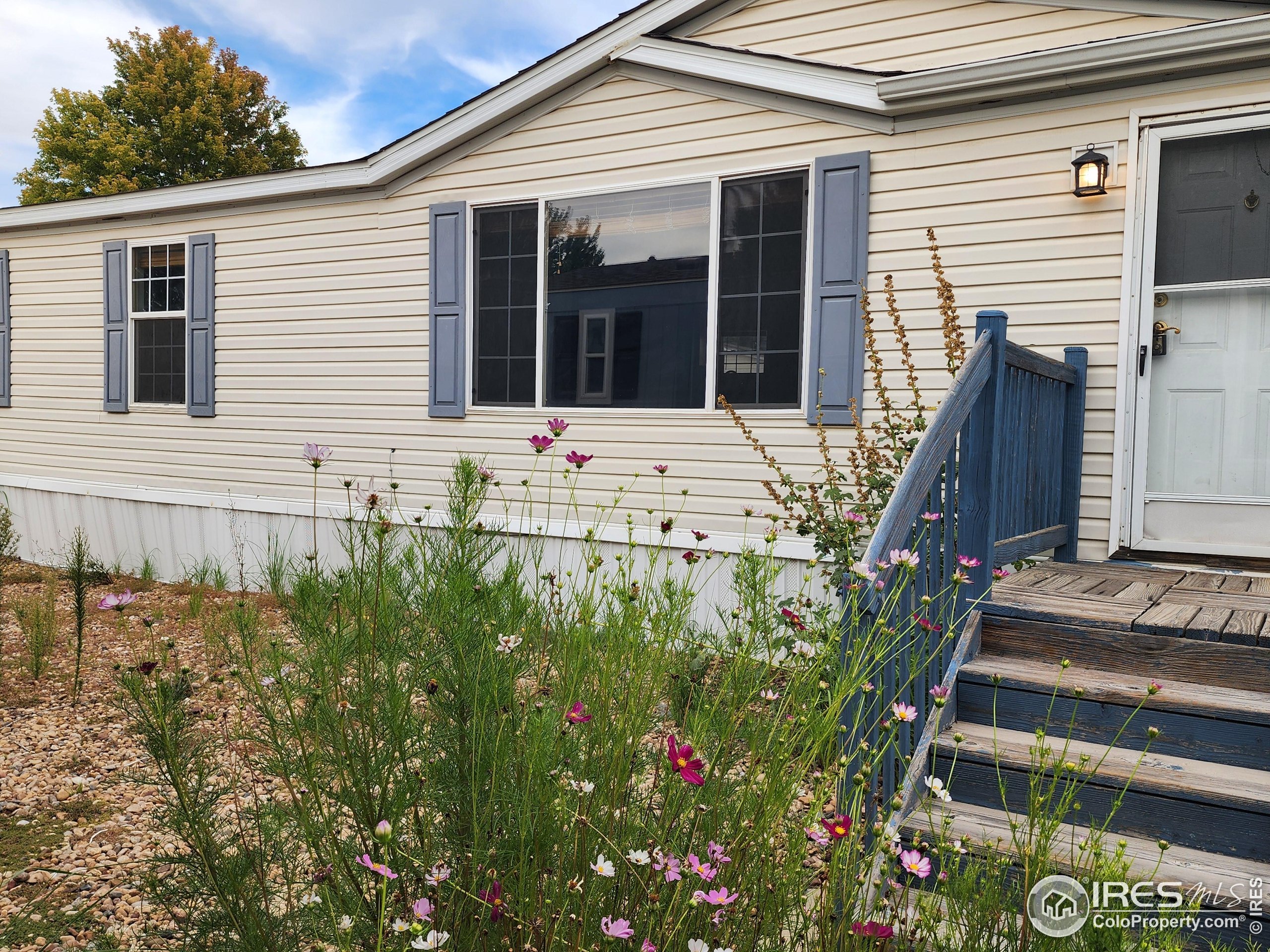 4795 Audrey Street Firestone CO 80504