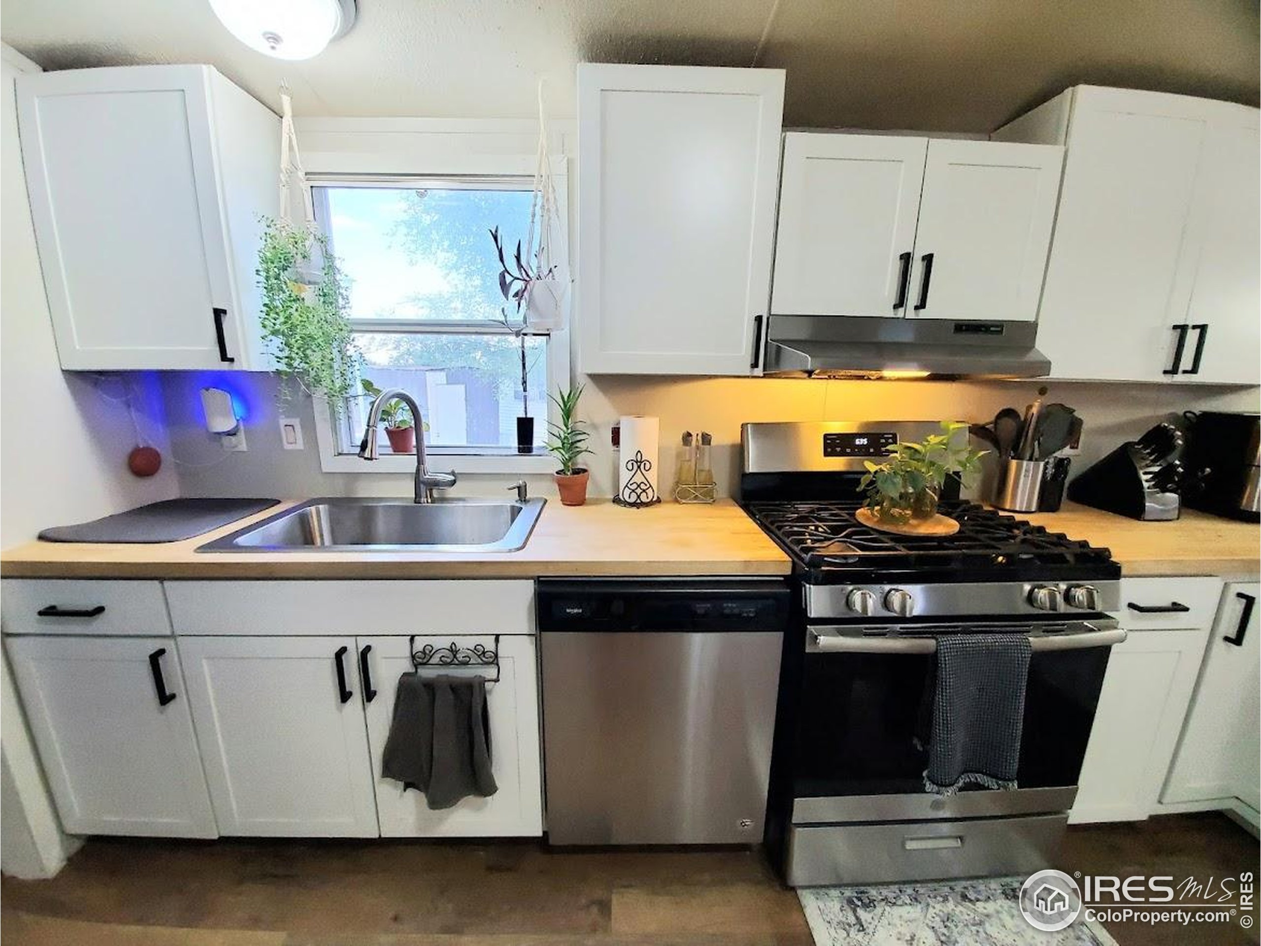 420 E 57th Street Loveland CO 80538