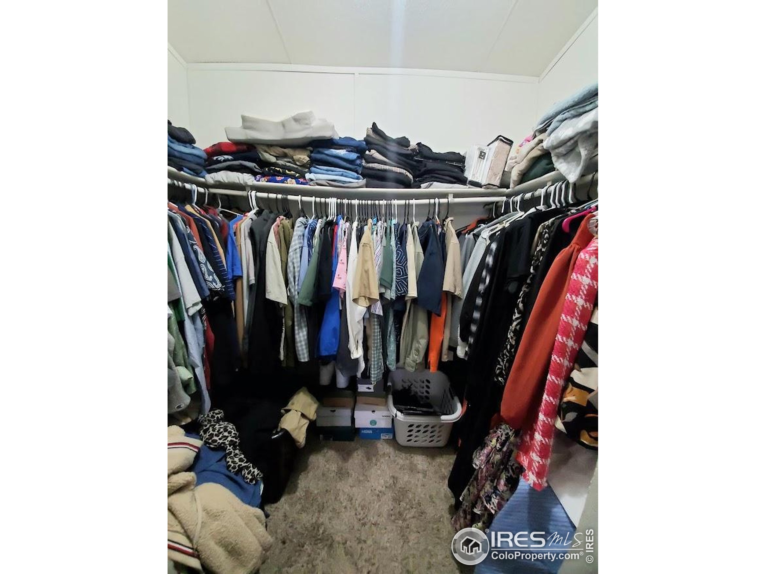 420 E 57th Street Loveland CO 80538