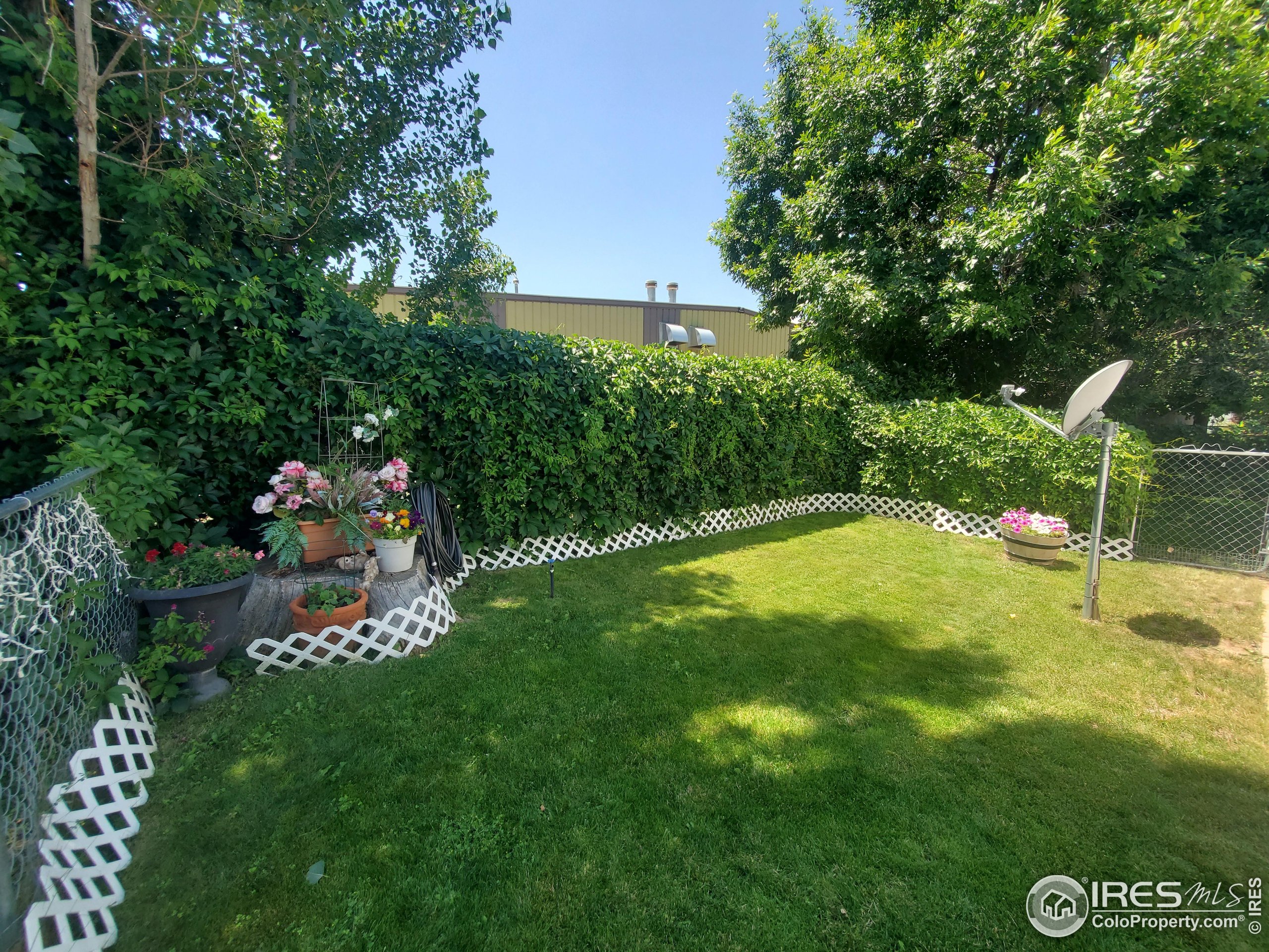 1166 Madison Avenue Loveland CO 80537