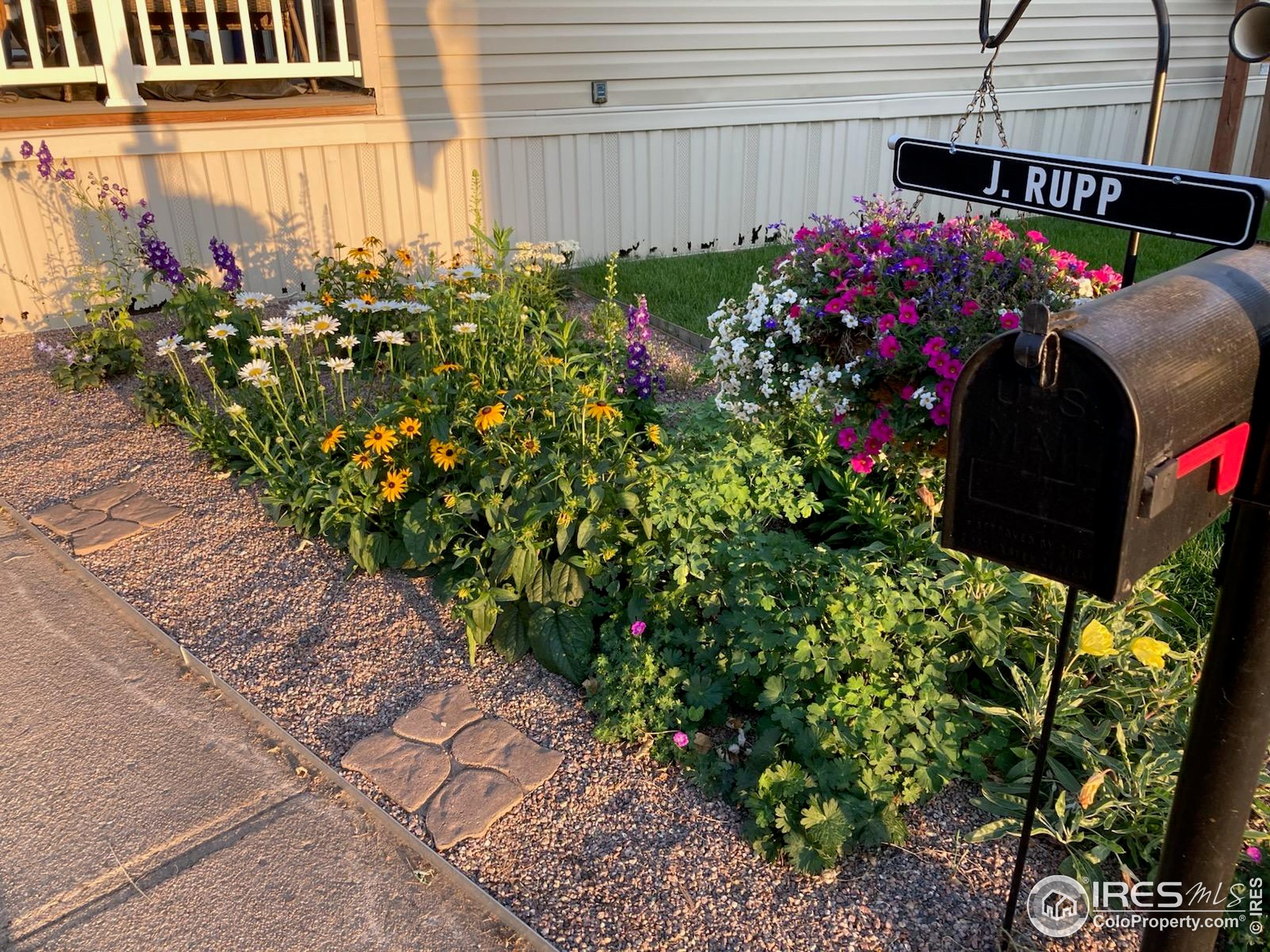 1601 N College Avenue Fort Collins CO 80524