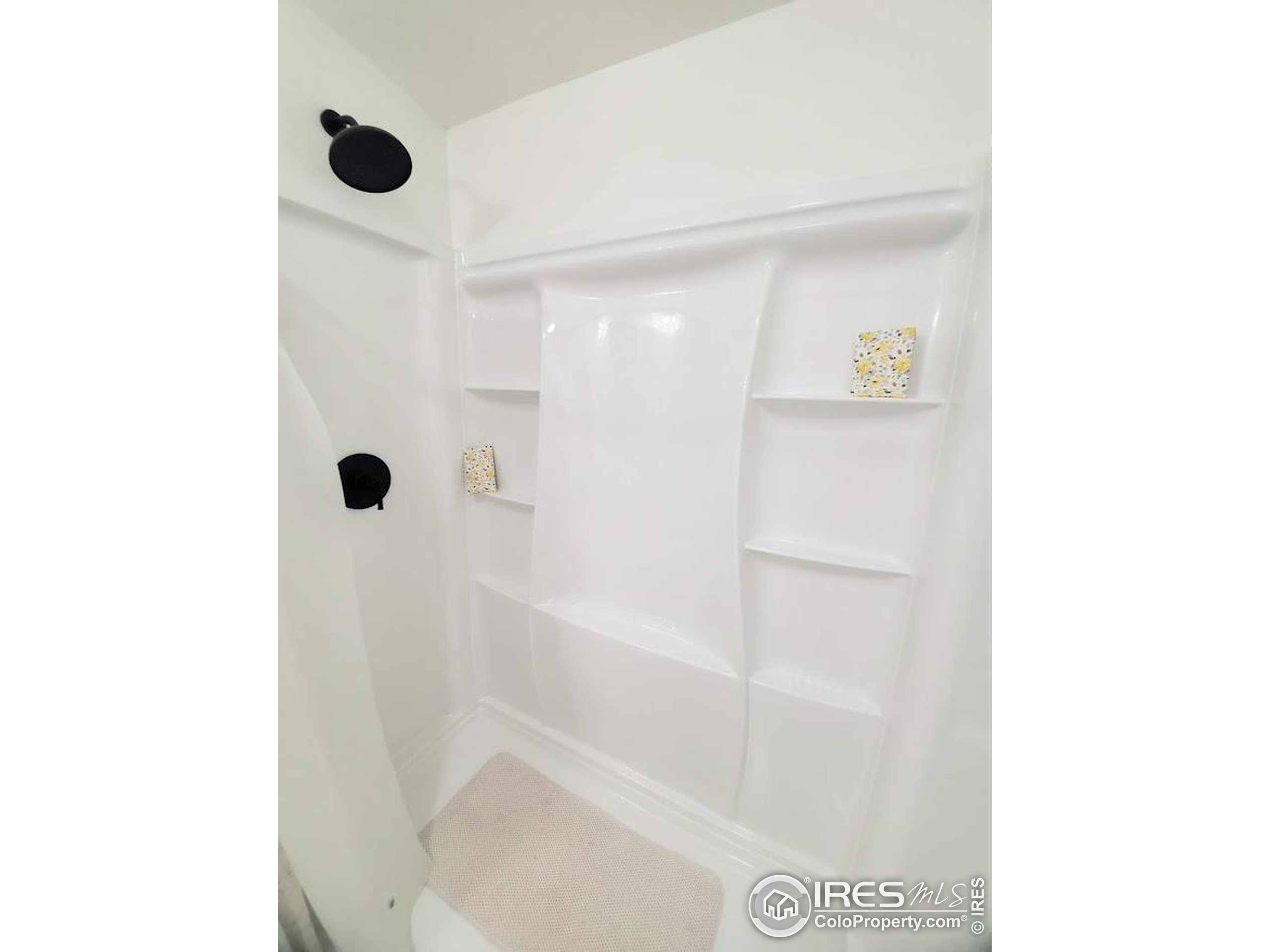 1166 Madison Avenue Loveland CO 80537