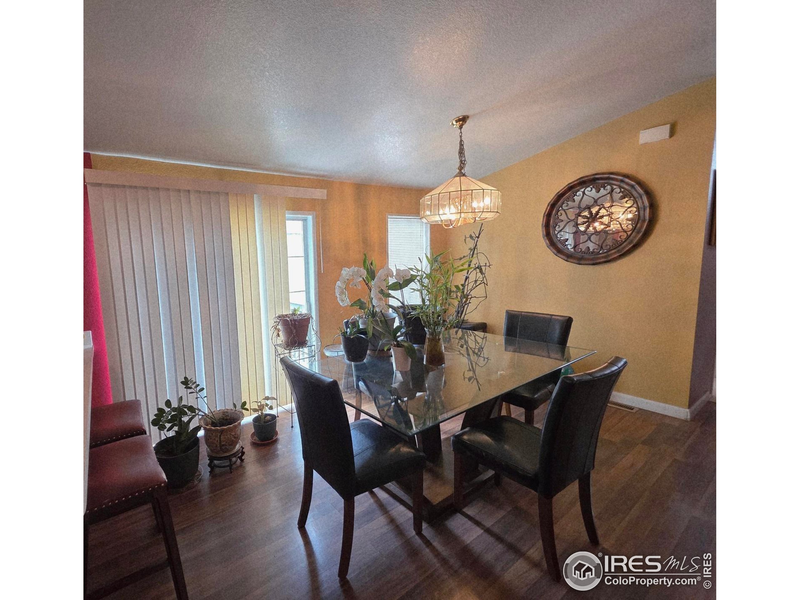 3420 Black Hills Longmont CO 80504