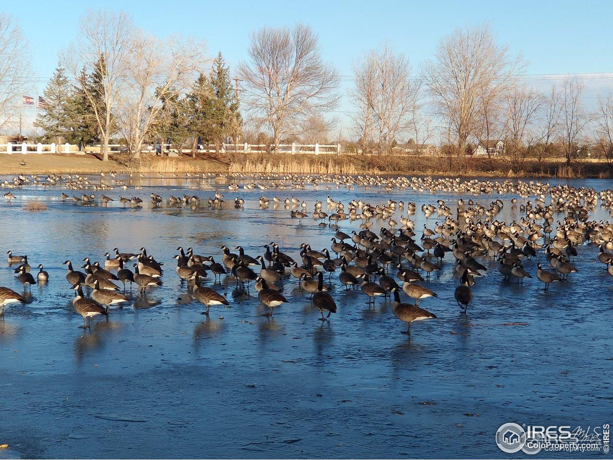 3420 Black Hills Longmont CO 80504