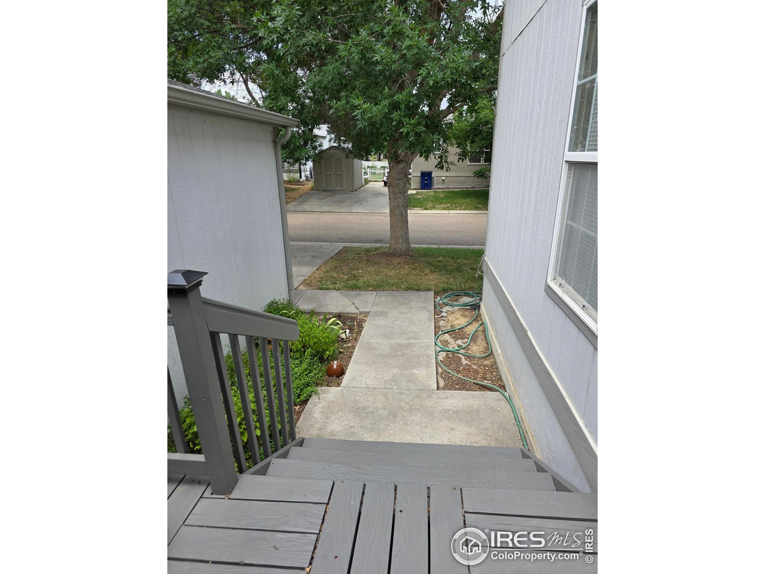 3420 Black Hills Longmont CO 80504