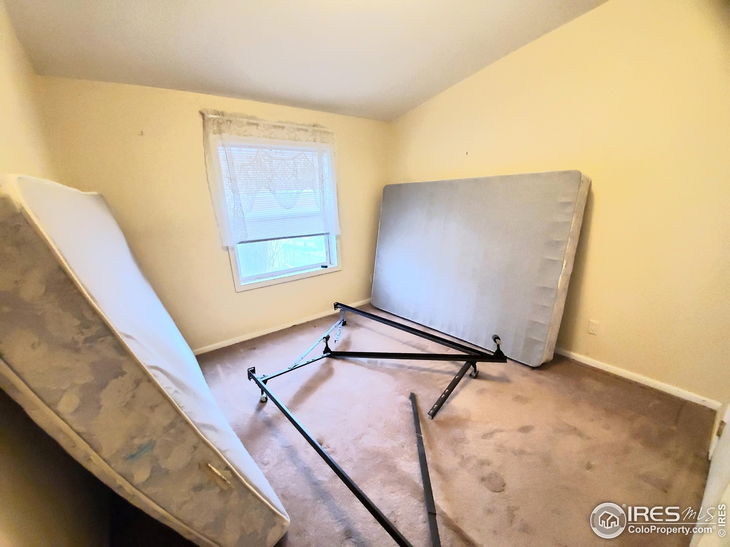 1166 Madison Avenue Loveland CO 80537