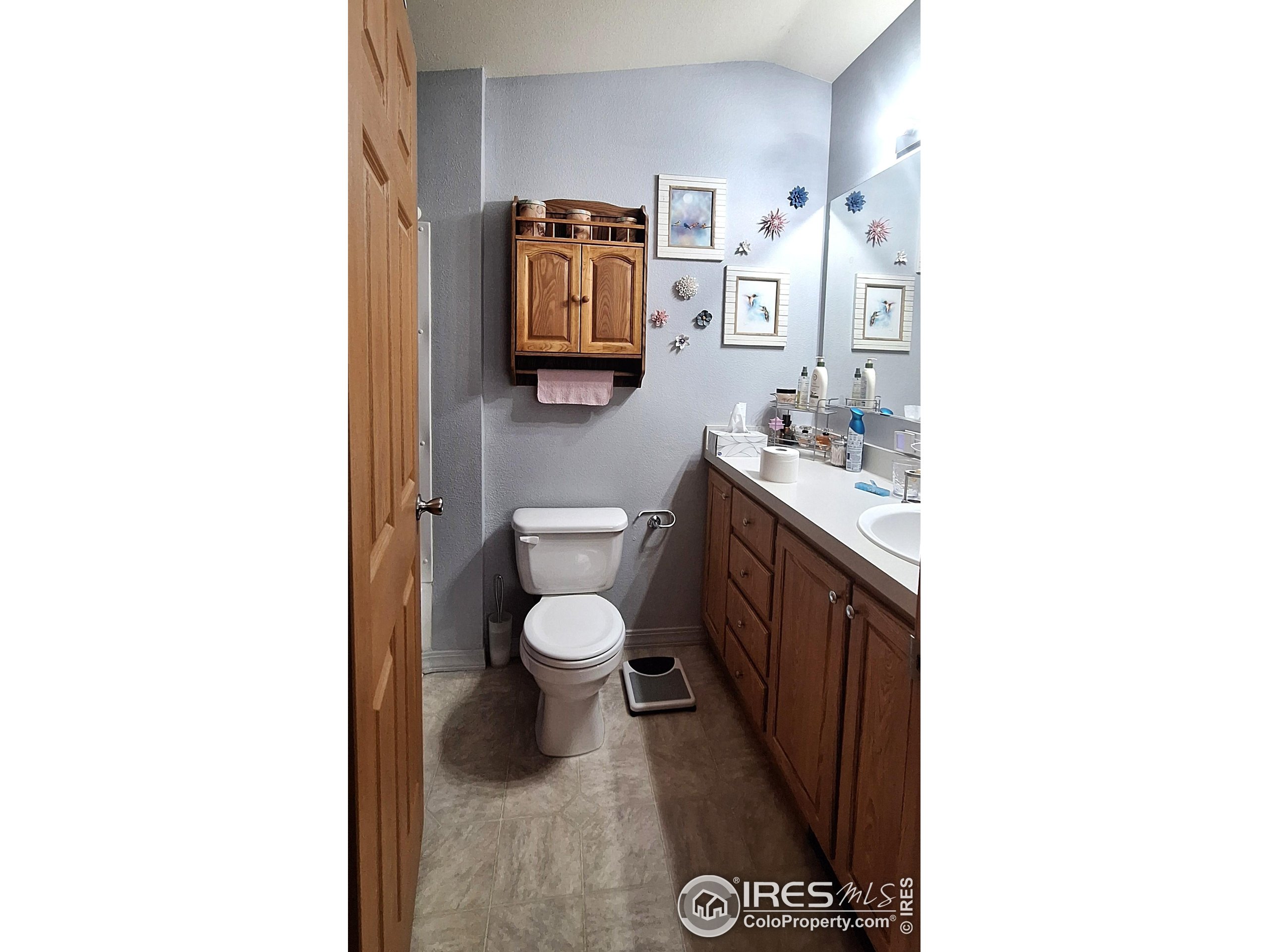 1166 Madison Avenue Loveland CO 80537