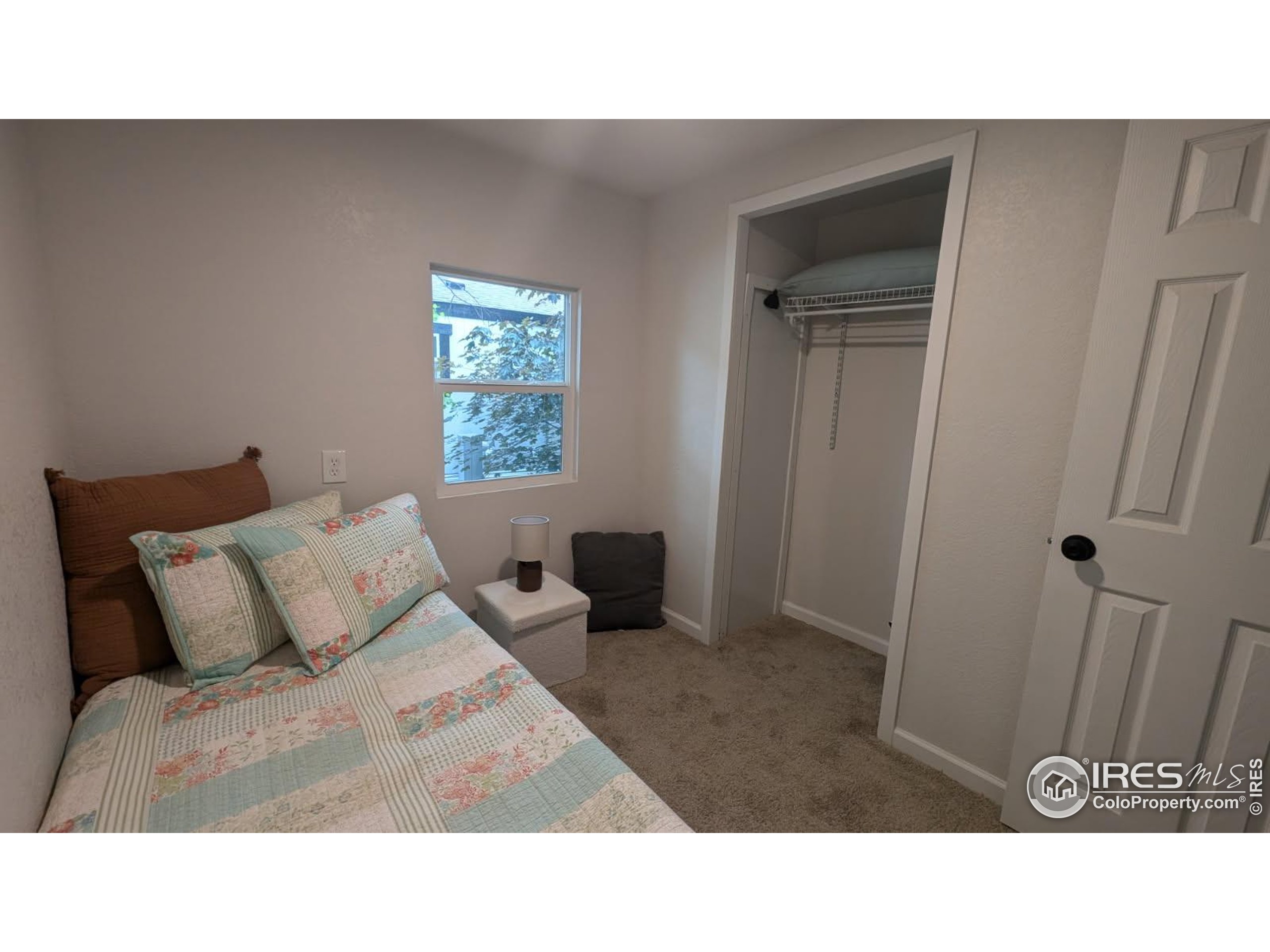 221 W 57th Street Loveland CO 80538