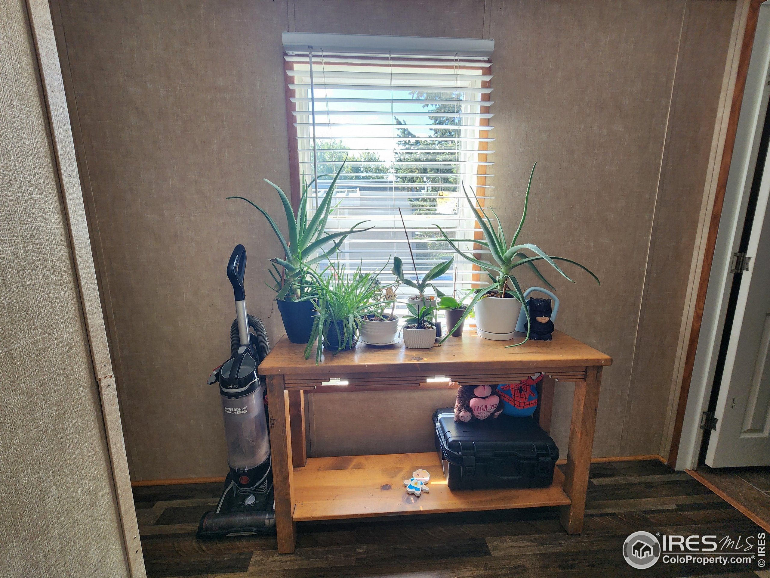 712 Bunting Drive Lafayette CO 80026