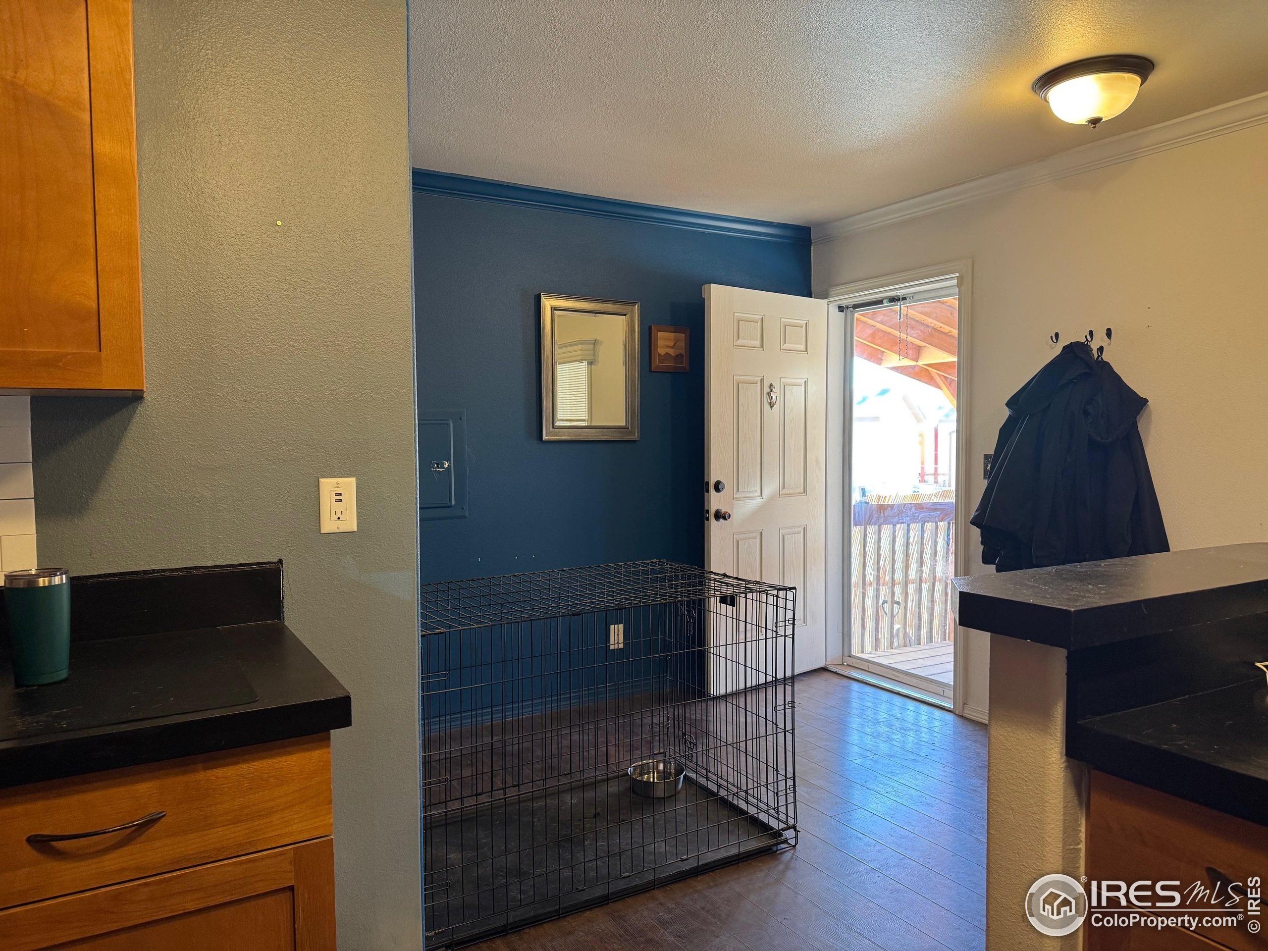 316 Barnard Court Longmont CO 80501