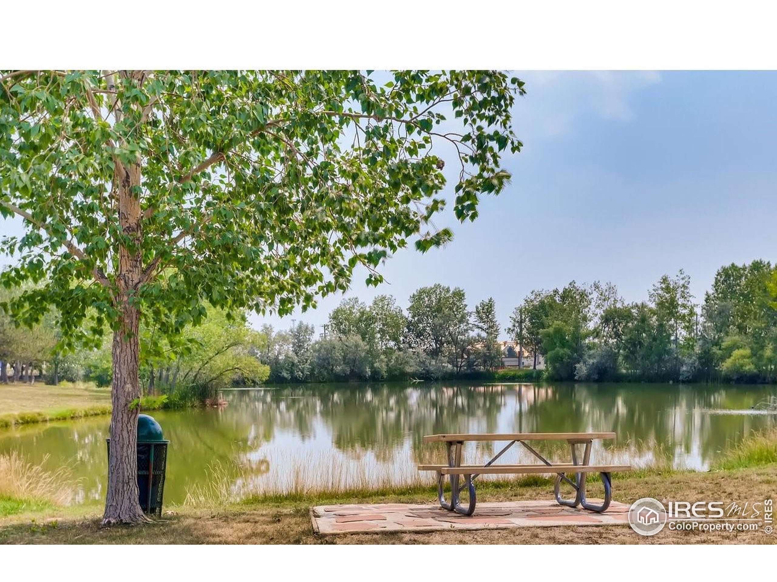 11154 Bluff Lodge Longmont CO 80504