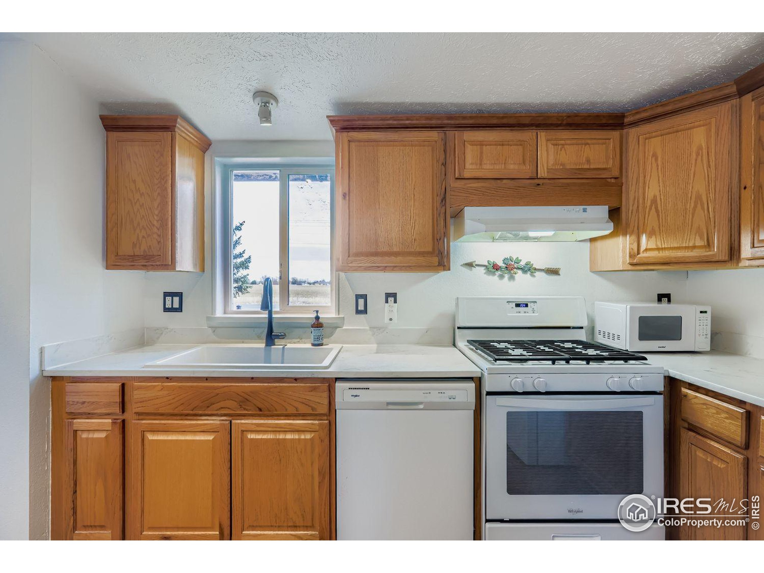 11154 Bluff Lodge Longmont CO 80504