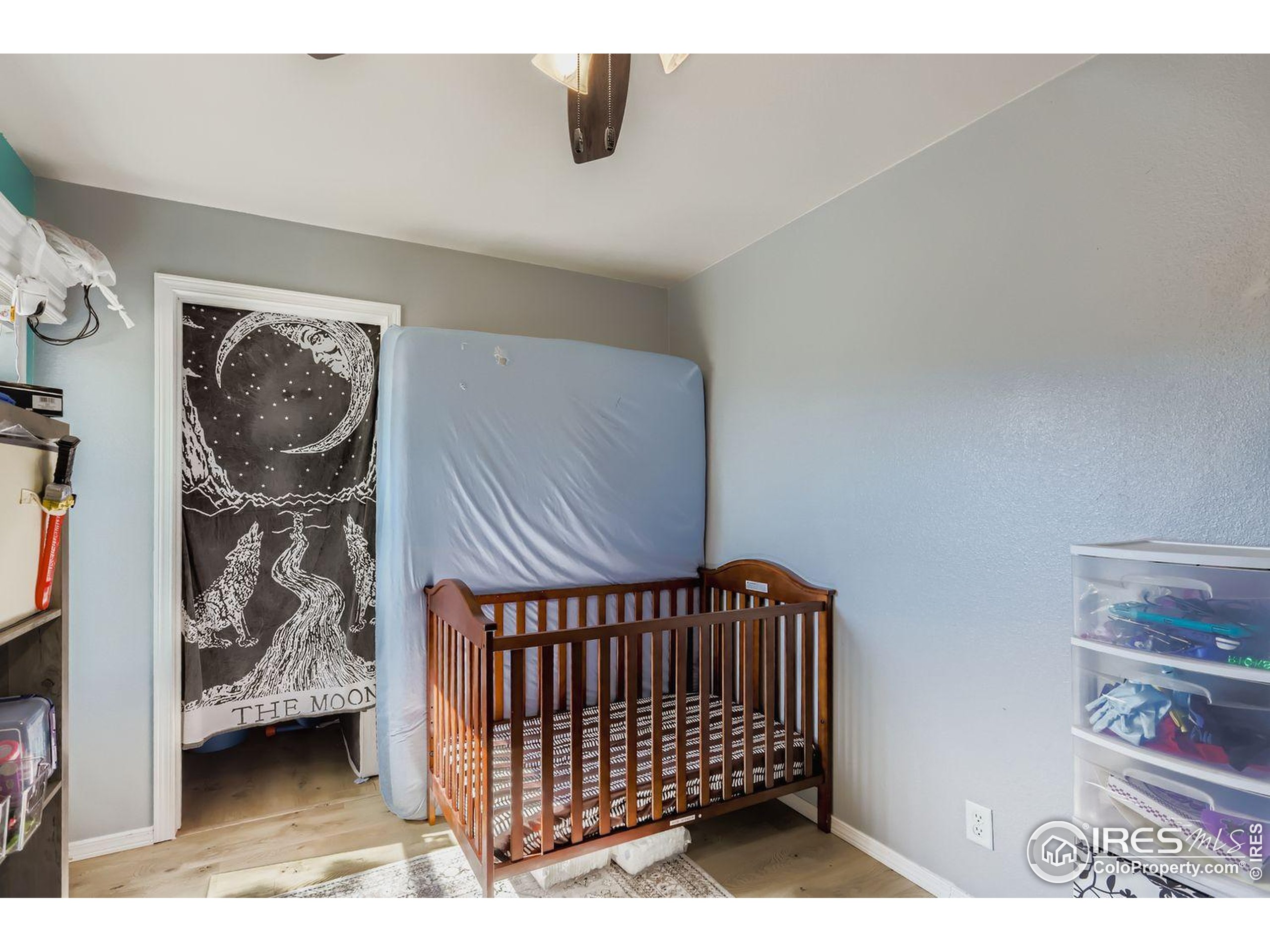 3105 Foxtail Lane Evans CO 80620