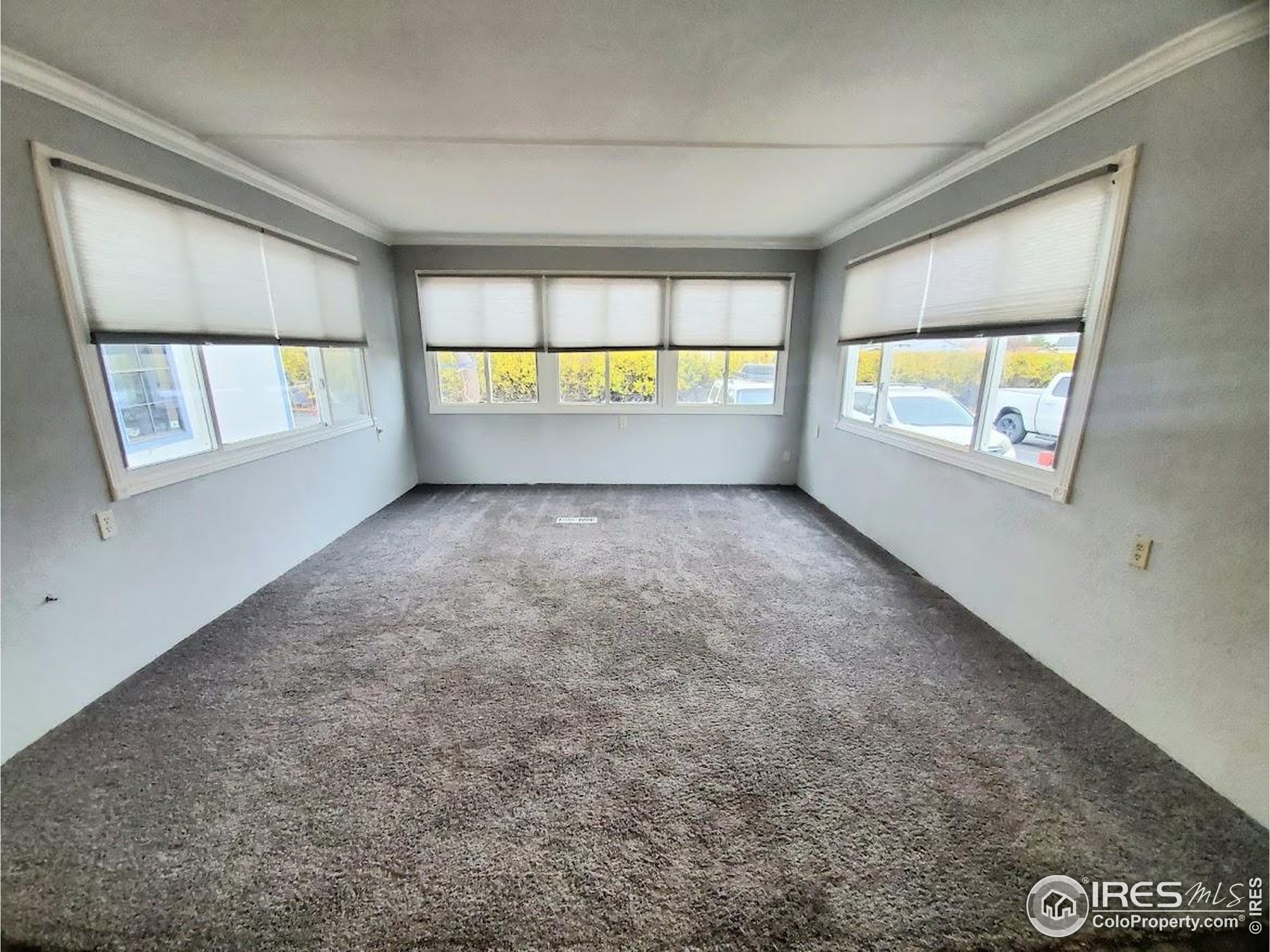 221 W 57th Street Loveland CO 80538