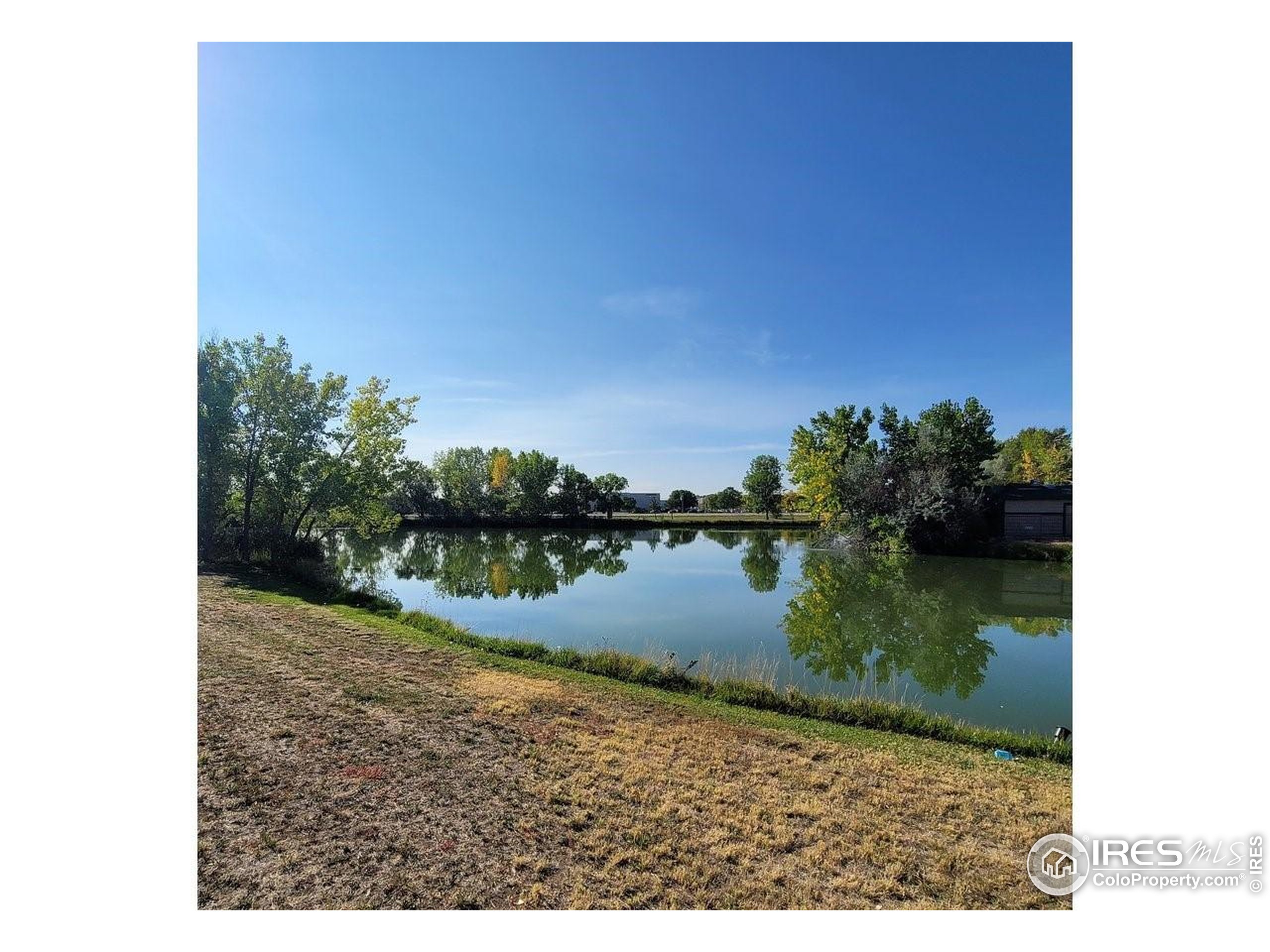 3272 N Rim Longmont CO 80504