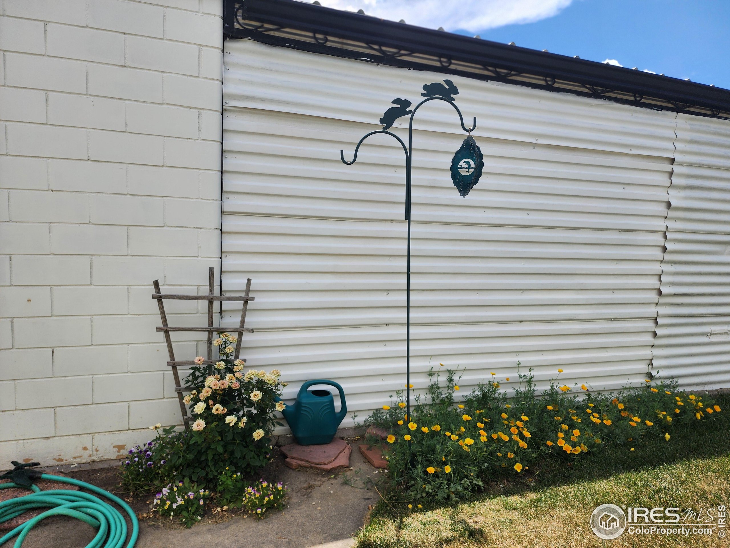 729 17th Avenue Longmont CO 80501