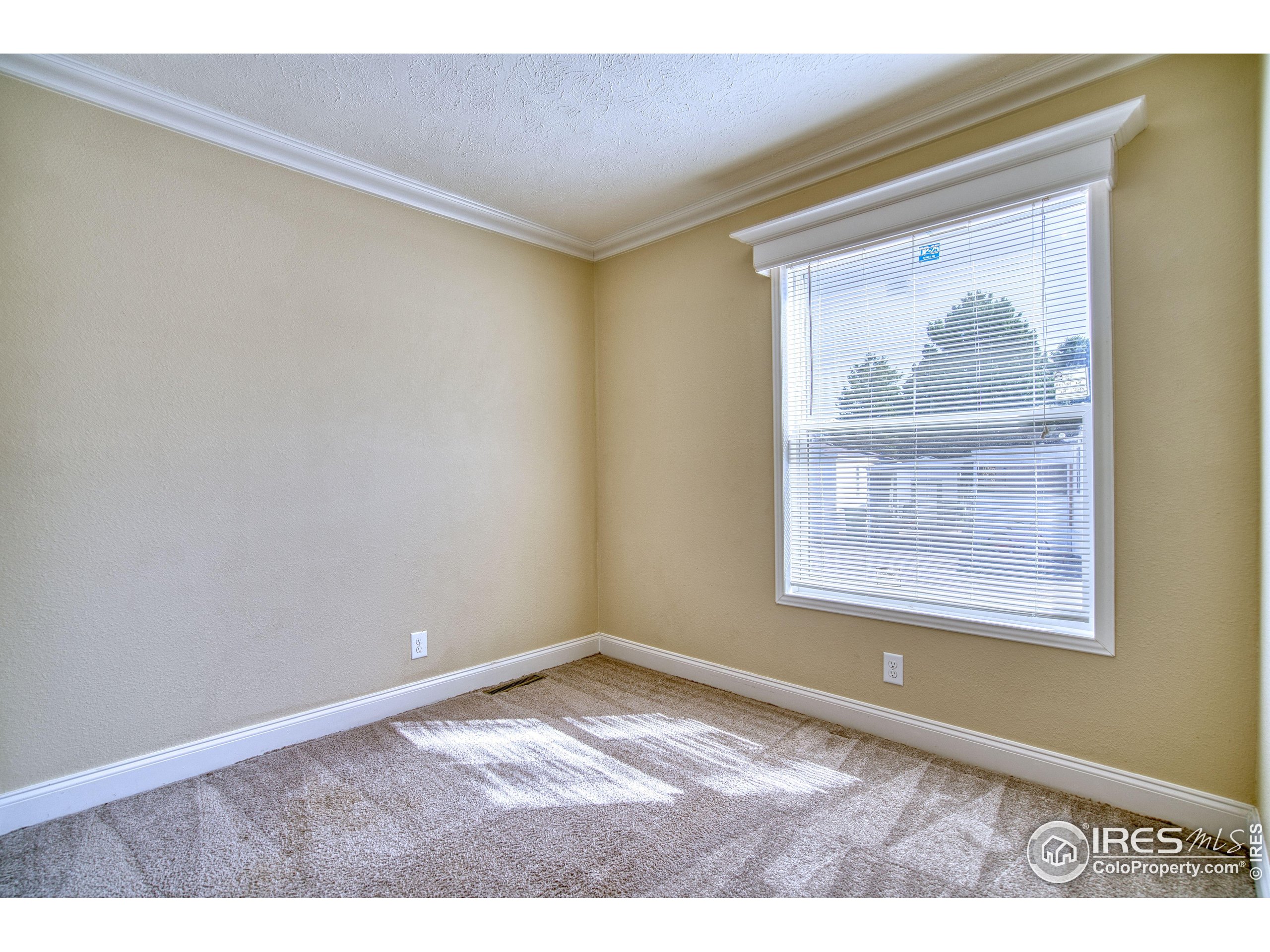 230 N 2nd Street Berthoud CO 80513