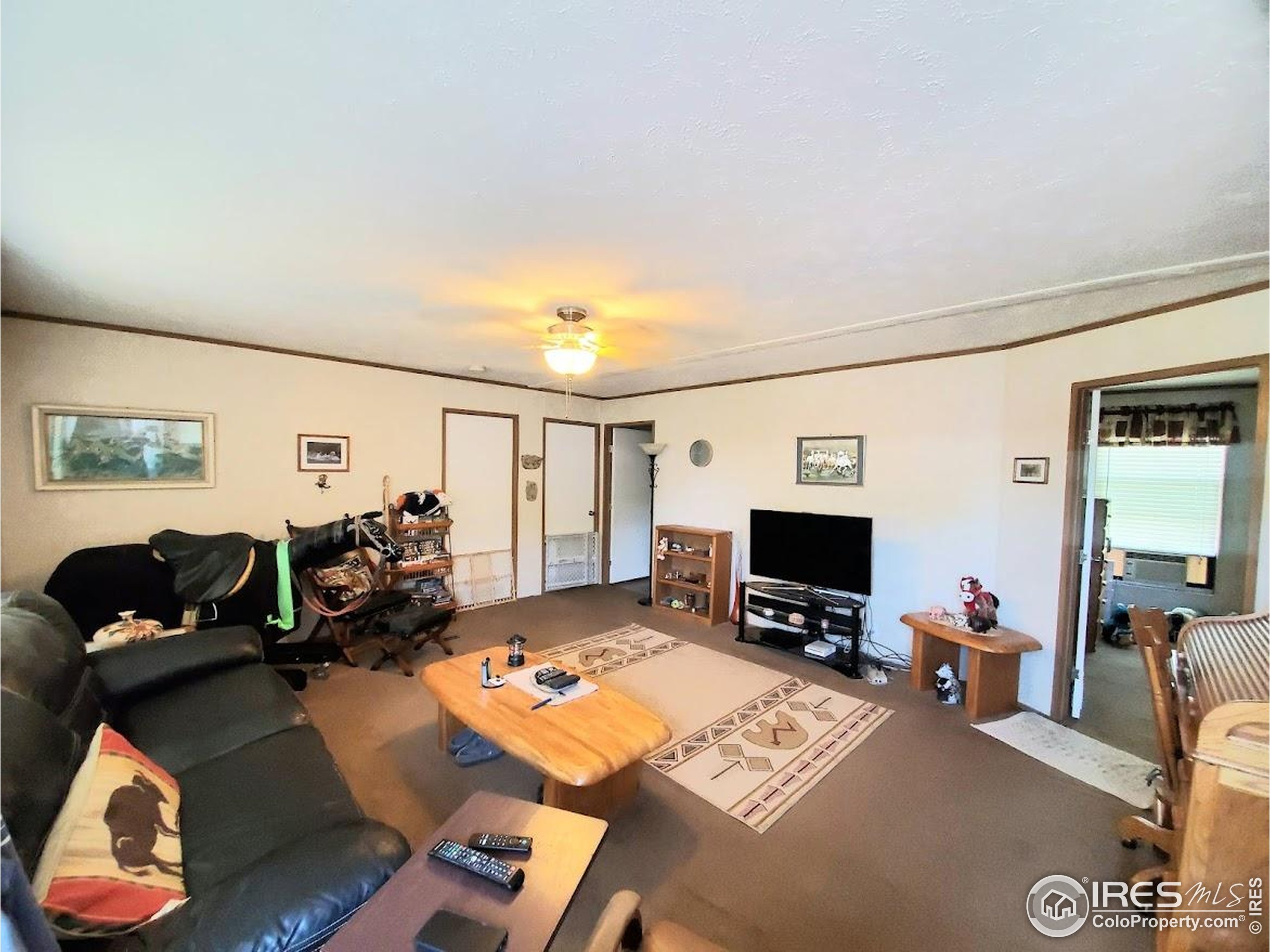 221 W 57th Street Loveland CO 80538