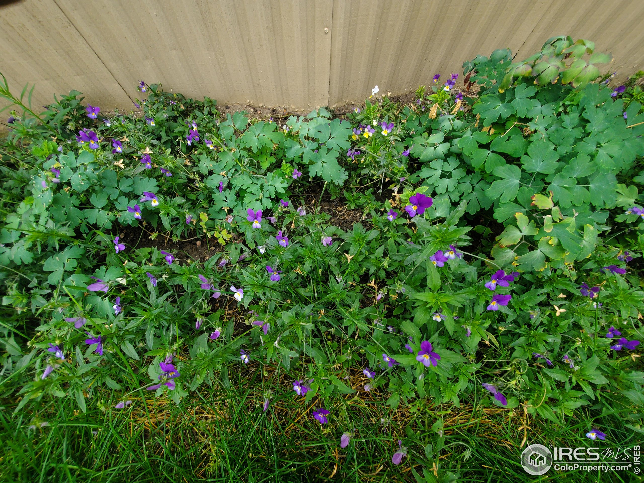 1166 Madison Avenue Loveland CO 80537