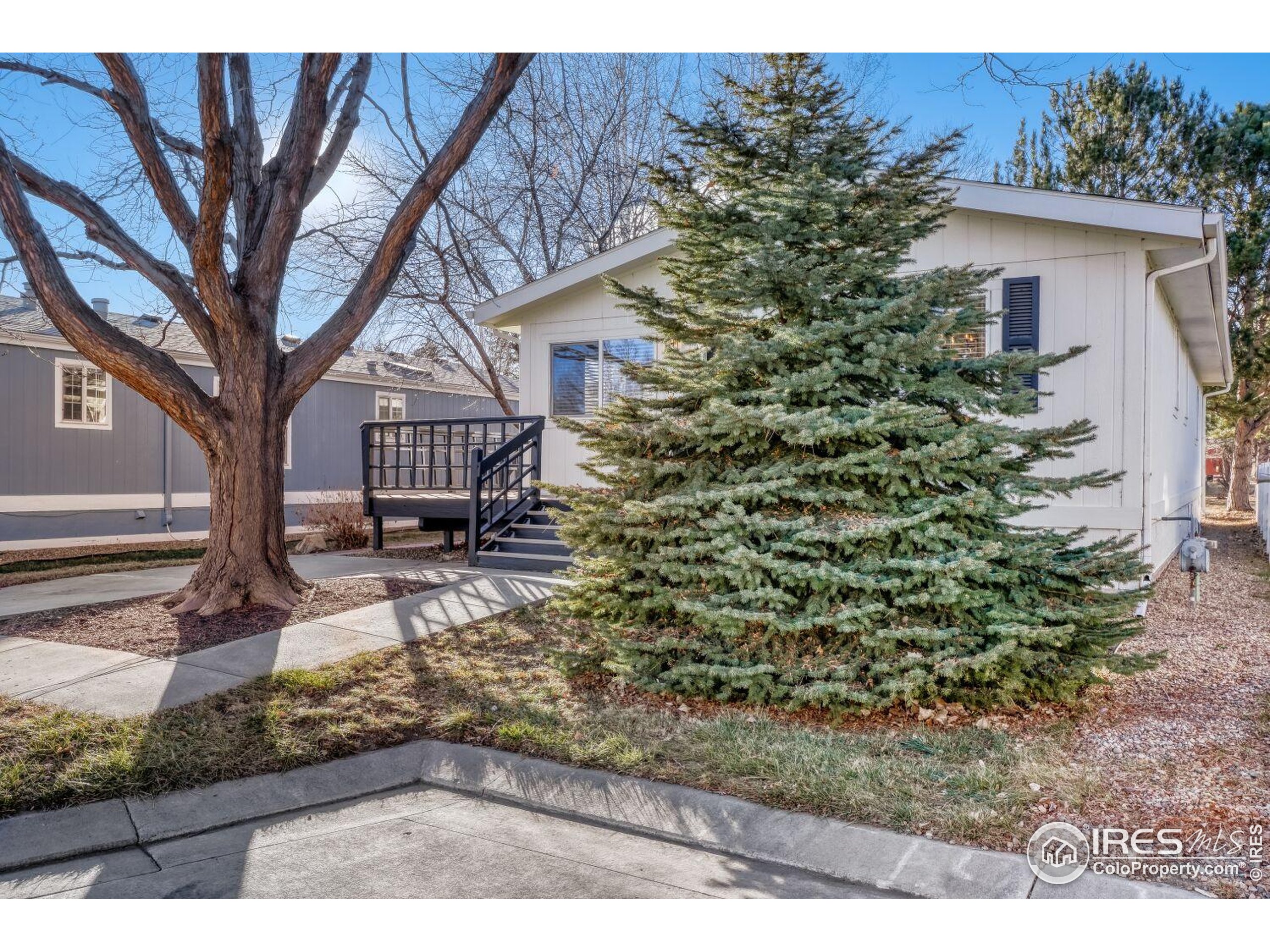 11305 Bryce Longmont CO 80504