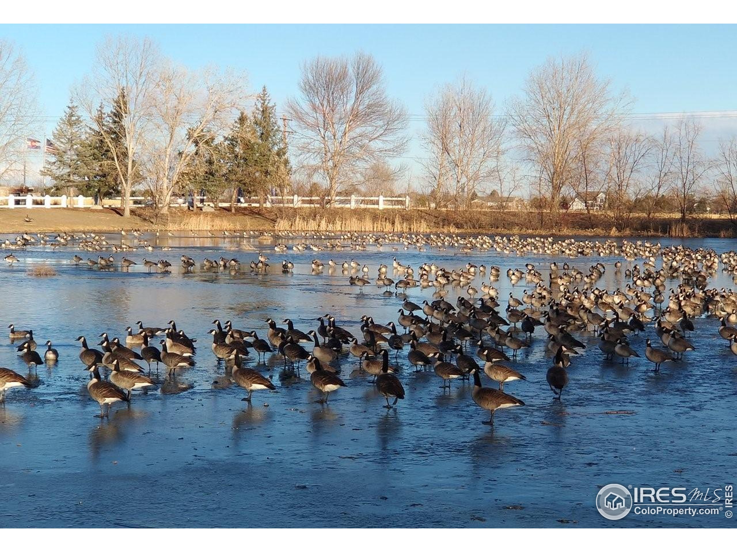 11305 Bryce Longmont CO 80504