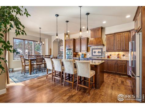 5025 Knobcone Drive Castle Rock CO 80108