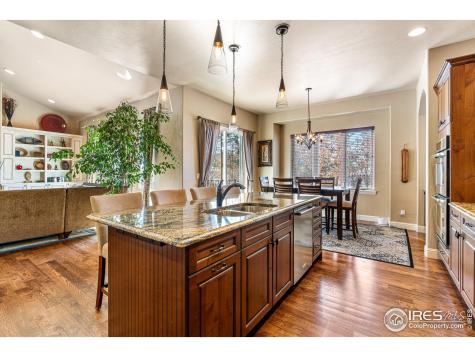 5025 Knobcone Drive Castle Rock CO 80108