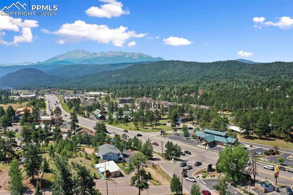 607 S Baldwin Street Woodland Park CO 80863