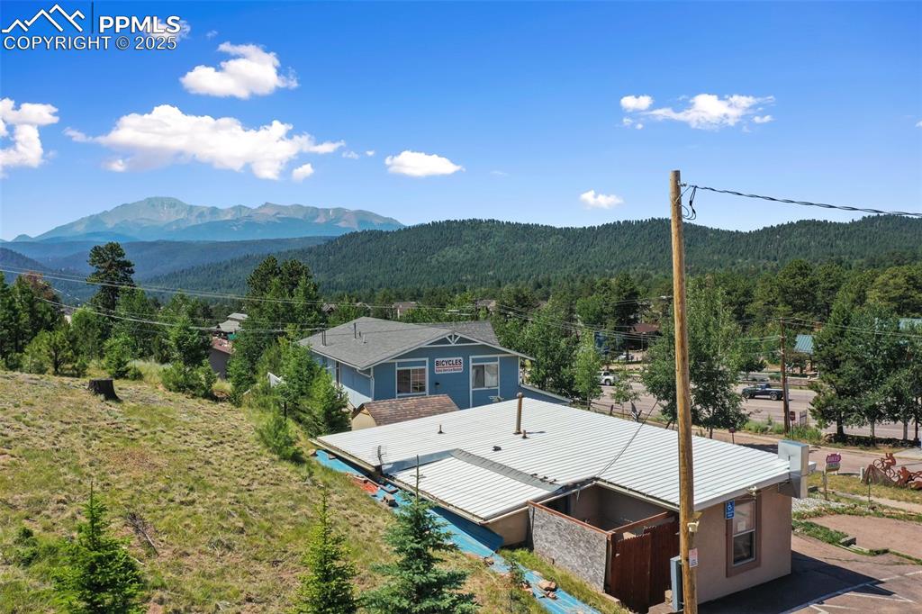 607 S Baldwin Street Woodland Park CO 80863