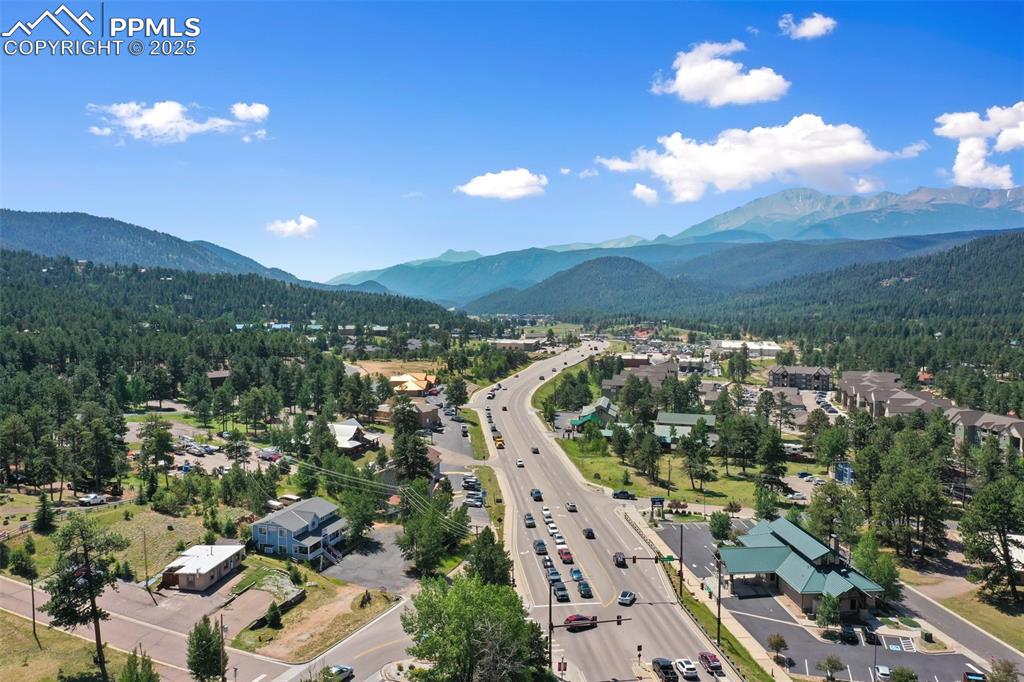 607 S Baldwin Street Woodland Park CO 80863