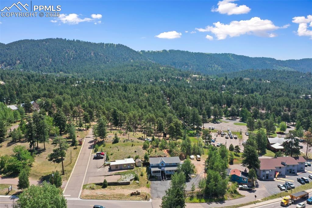 607 S Baldwin Street Woodland Park CO 80863