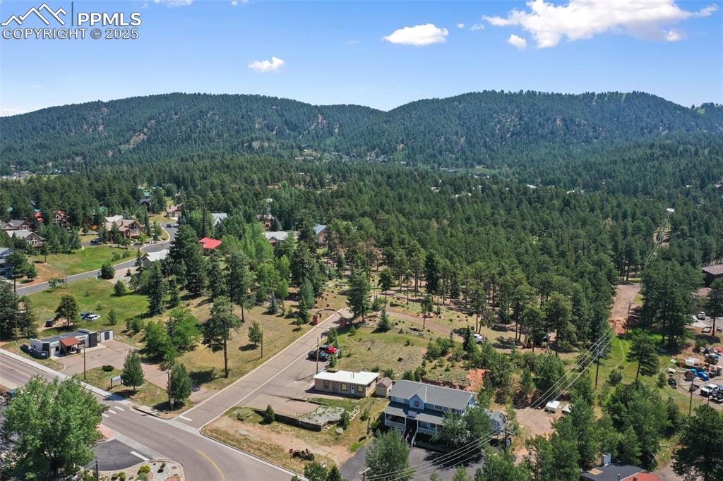 607 S Baldwin Street Woodland Park CO 80863