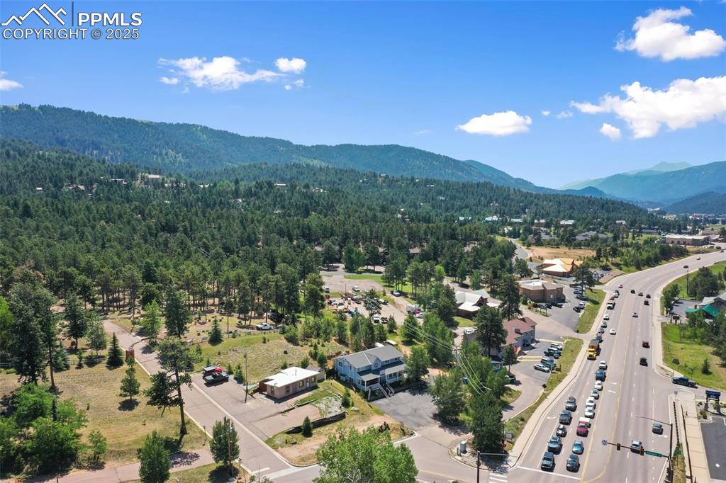 607 S Baldwin Street Woodland Park CO 80863