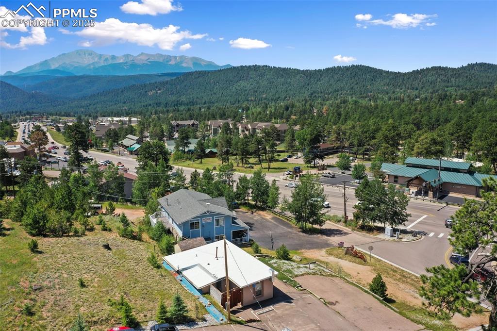 607 S Baldwin Street Woodland Park CO 80863