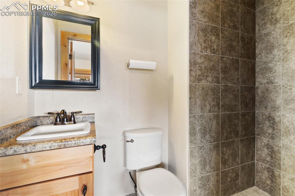 350 N Pine Street Woodland Park CO 80863