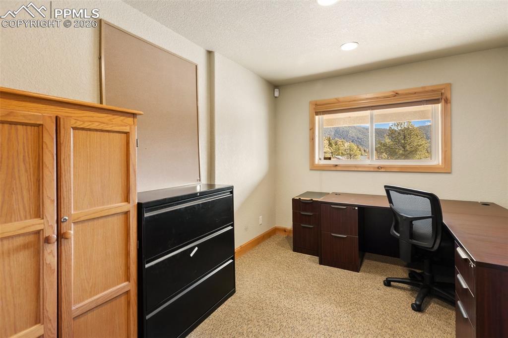 350 N Pine Street Woodland Park CO 80863