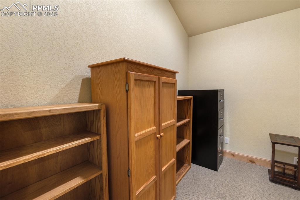 350 N Pine Street Woodland Park CO 80863