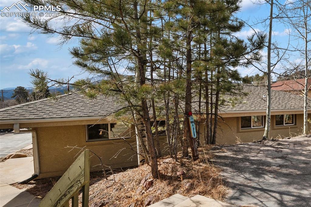 350 N Pine Street Woodland Park CO 80863
