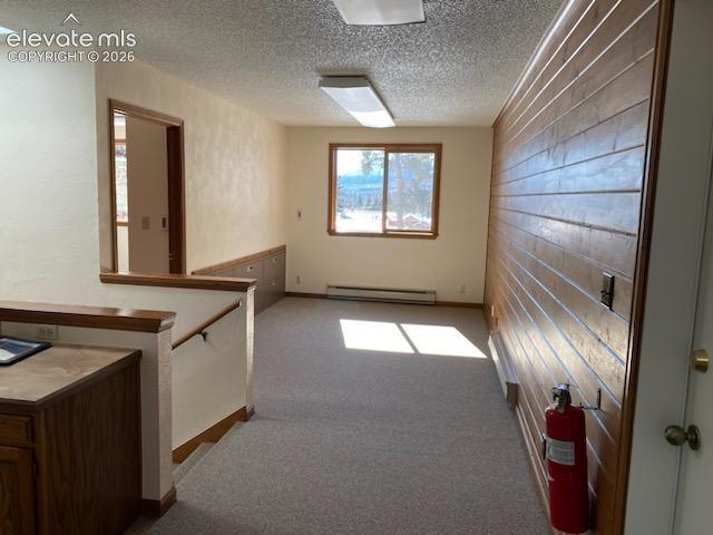 250 N Center Street Woodland Park CO 80863