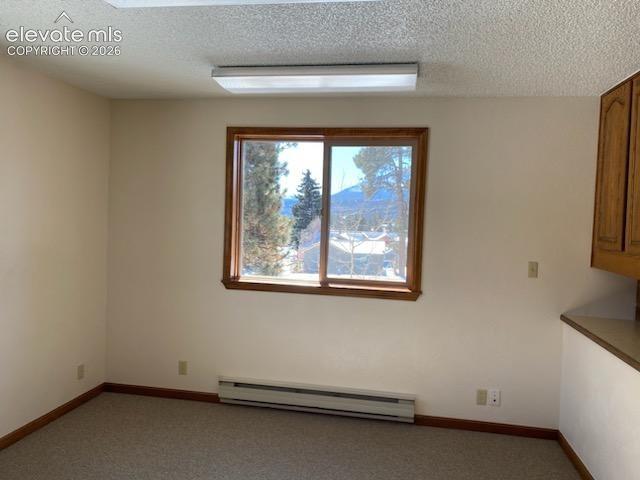 250 N Center Street Woodland Park CO 80863