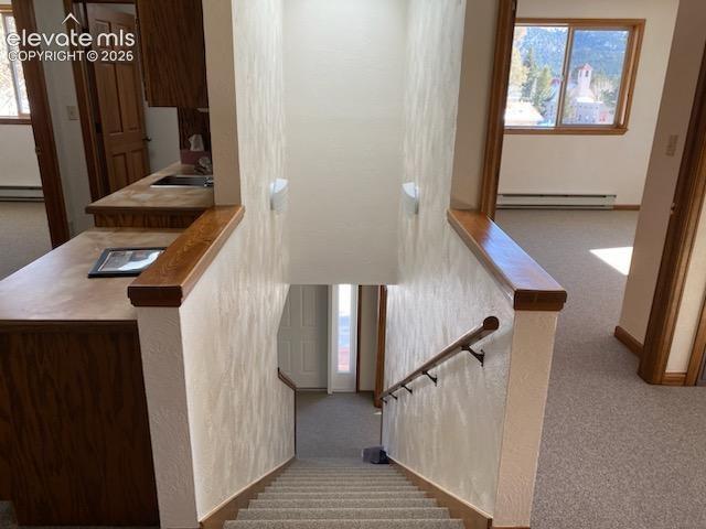 250 N Center Street Woodland Park CO 80863
