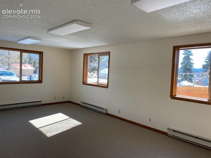 250 N Center Street Woodland Park CO 80863