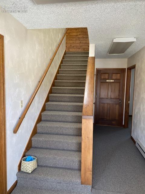 250 N Center Street Woodland Park CO 80863