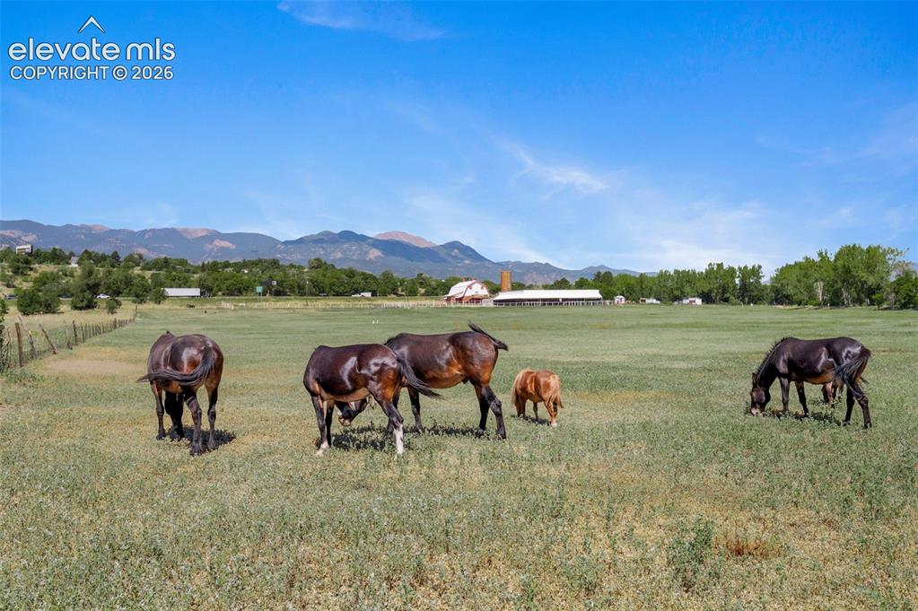 3415 Janitell Road Colorado Springs CO 80906