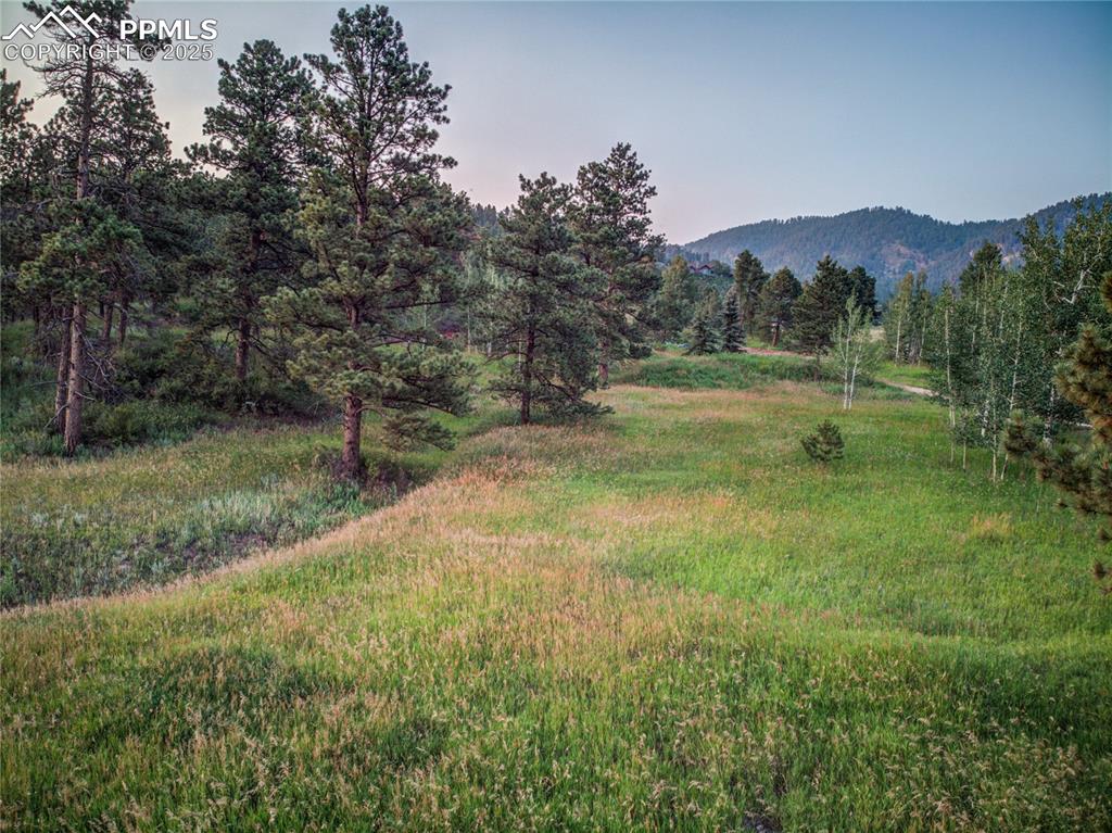 19569 E Highway 24 Woodland Park CO 80863