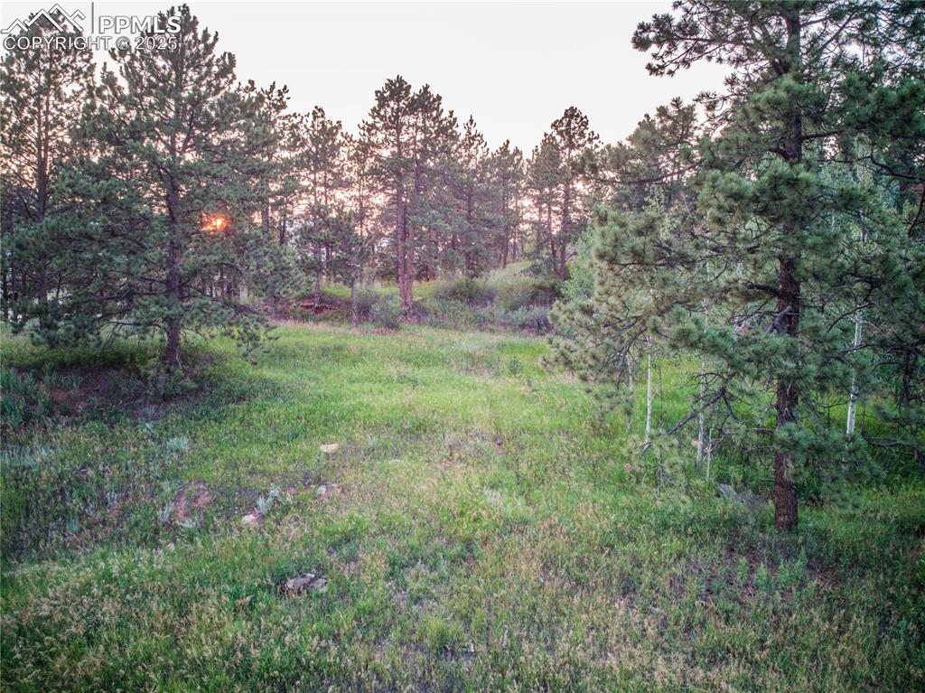 19569 E Highway 24 Woodland Park CO 80863