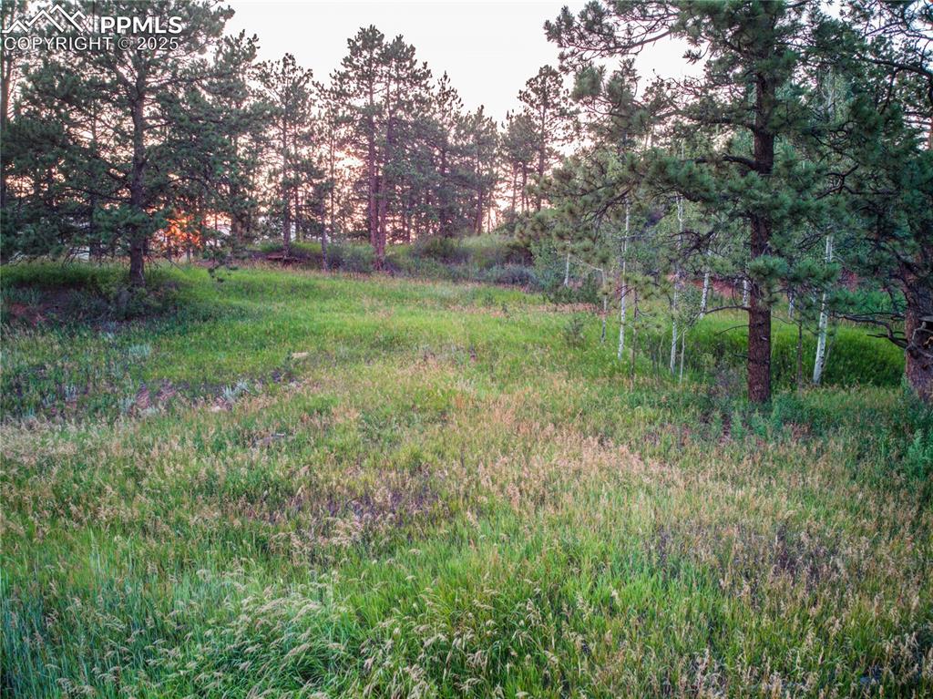 19569 E Highway 24 Woodland Park CO 80863