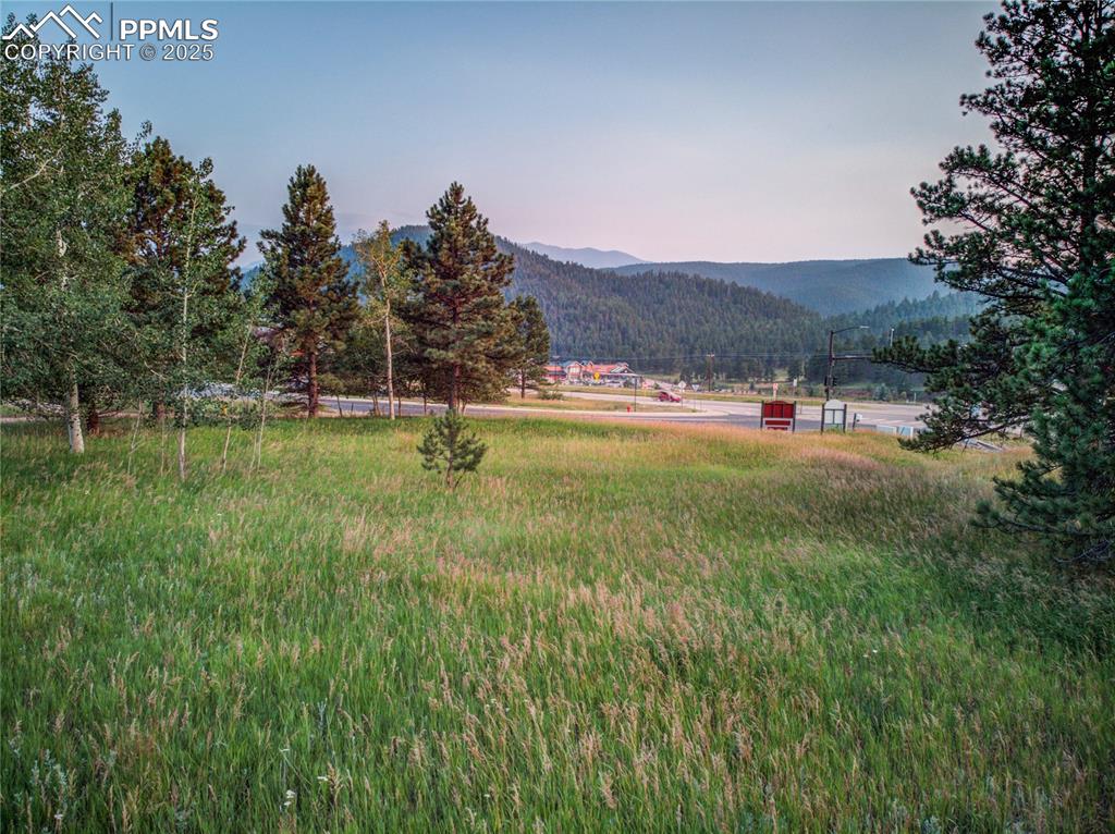 19569 E Highway 24 Woodland Park CO 80863