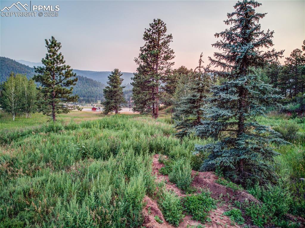 19569 E Highway 24 Woodland Park CO 80863